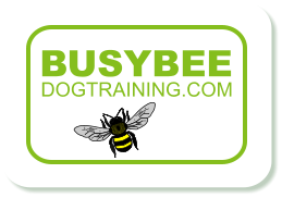 Busy Bee Dog Training Isle of Man - Home Page